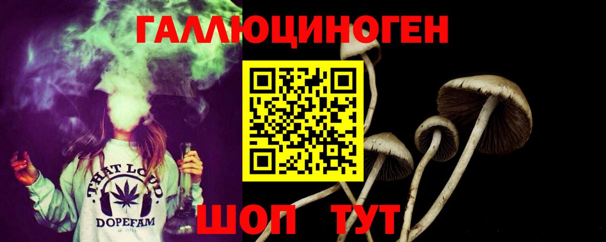 Галлюциногенные грибы мицелий  Вход с VPN  Дивногорск 